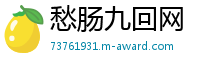 愁肠九回网